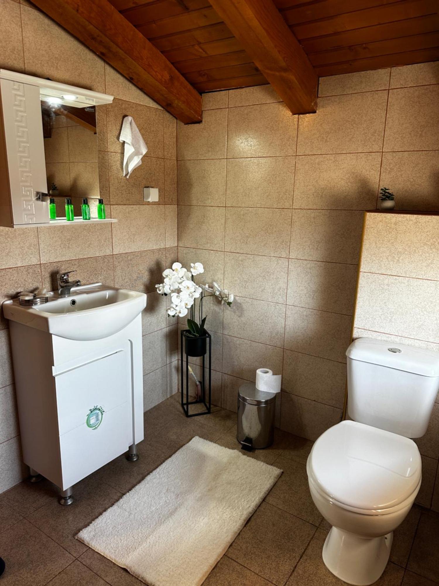 Hotel Snow House Bansko Esterno foto